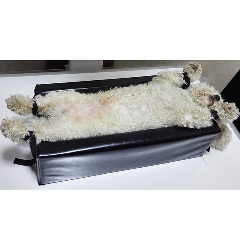 OEM Mata RTG do pozycjonowania – Veterinary X-Ray recenzja i cena