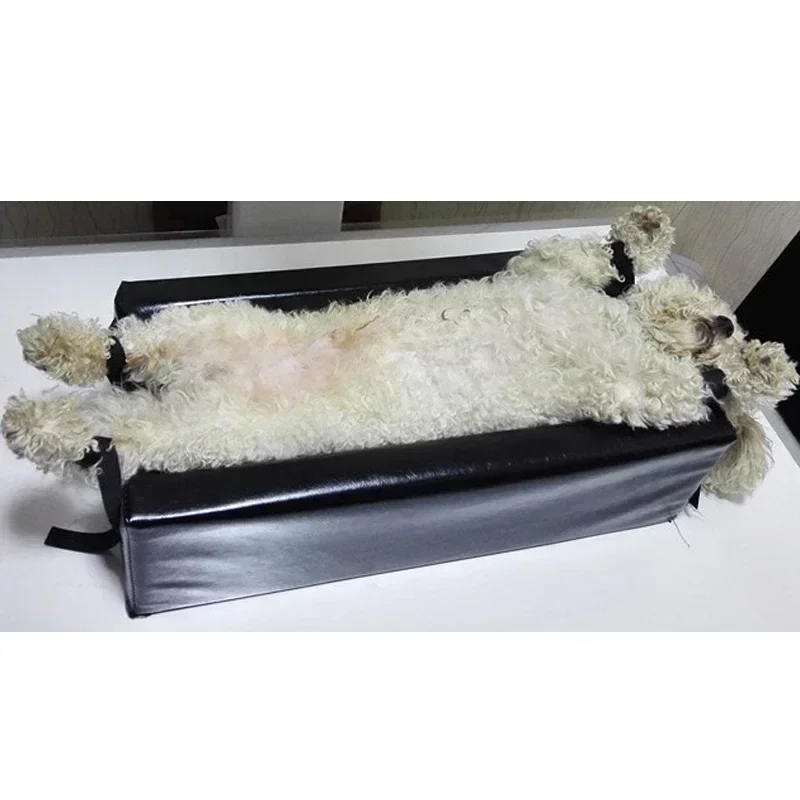 Mały rozmiar Narzędzia do rent – Veterinary X-Ray recenzja i cena